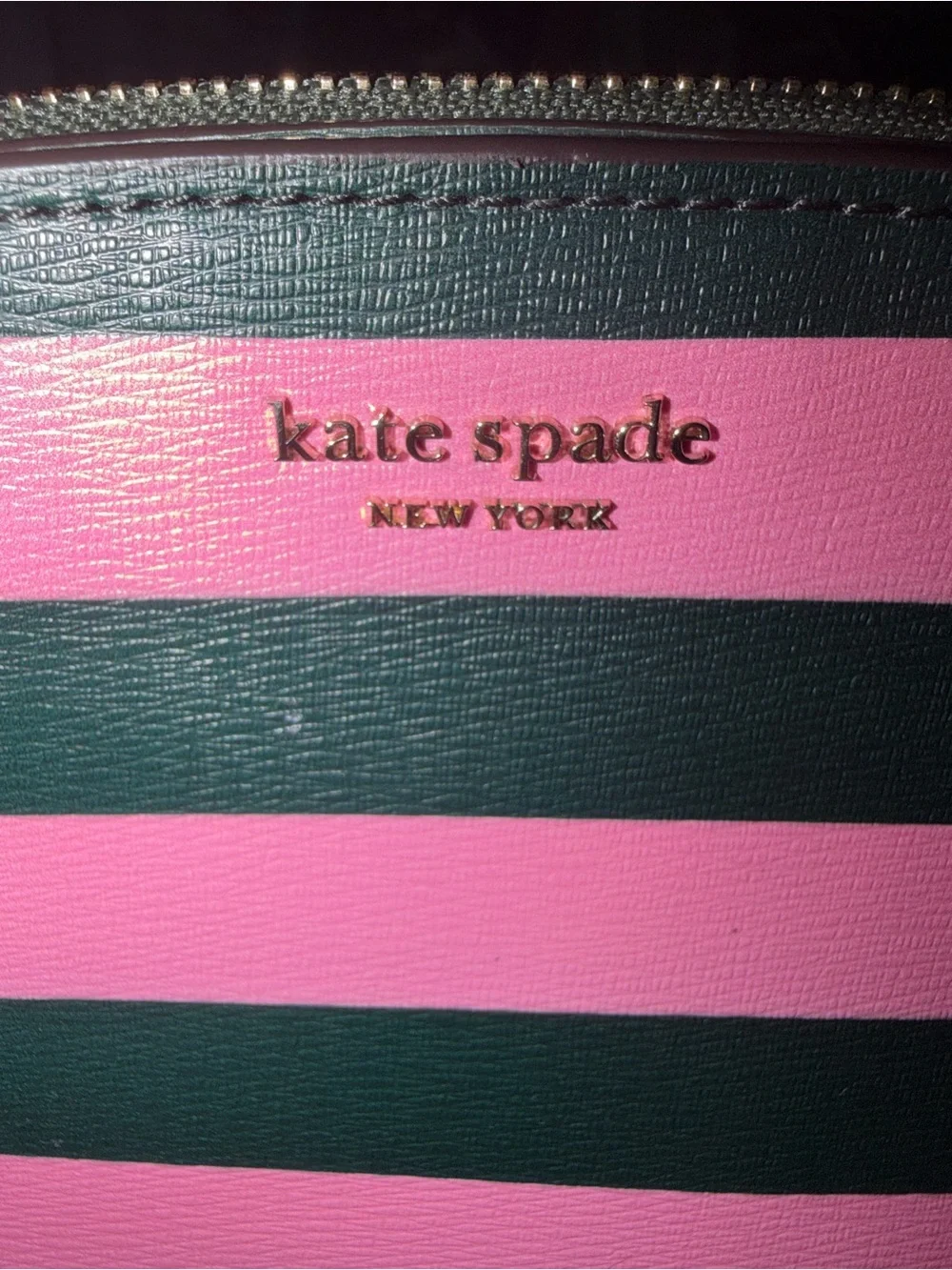 Kate Spade Pink Green Striped Leather Camera Crossbody Bag Gold Chain